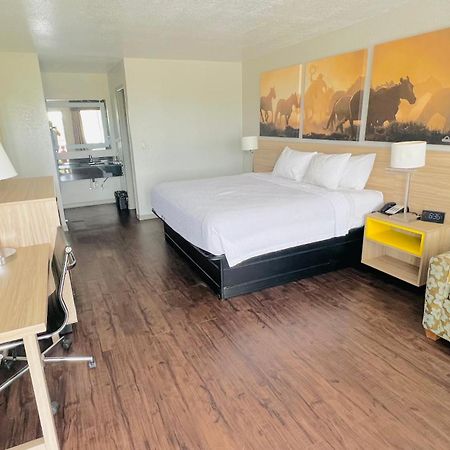 Days Inn & Suites By Wyndham - Canton First Monday Trade Days Eksteriør billede